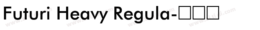 Futuri Heavy Regula字体转换